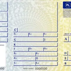 Gdzie jest nr silnika w dowodzie rejestracyjnym? Sprawdź, co musisz wiedzieć