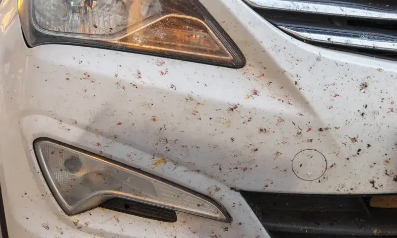 Jak usunąć owady z karoserii - skuteczne metody i porady na każdą sytuację