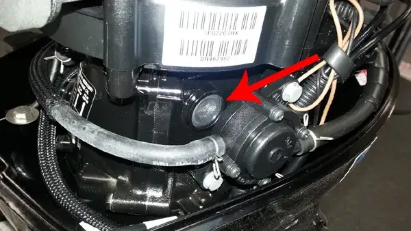 Zdjęcie Jak sprawdzić rok produkcji silnika zaburtowego Yamaha i uniknąć błędów